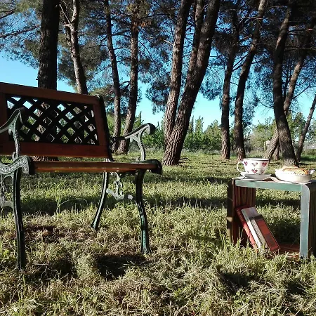 Dedo Bed & Breakfast