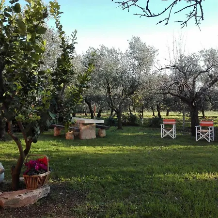 Dedo Bed & Breakfast