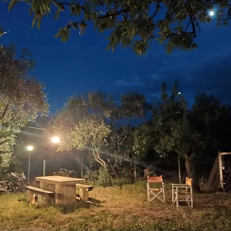 Dedo 3* تيرليتسي