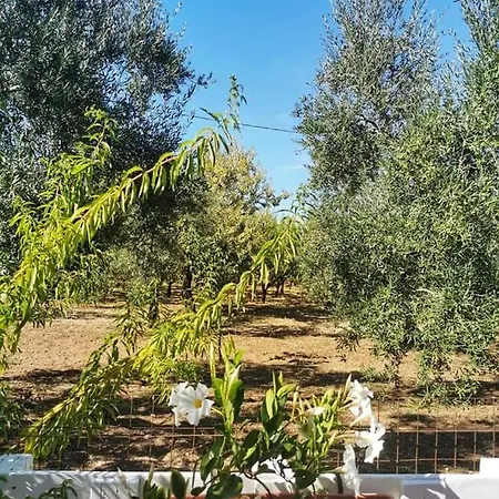 Dedo فندق مبيت وإفطار 3*