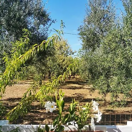 Dedo Oda ve Kahvaltı *