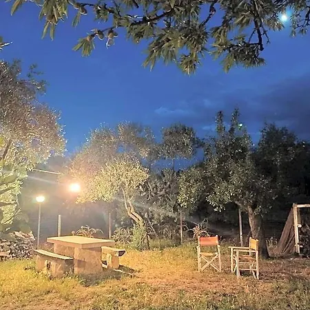 Bed & Breakfast Dedo 3*