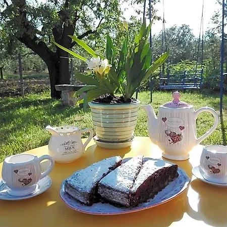 Dedo Bed & Breakfast 3*