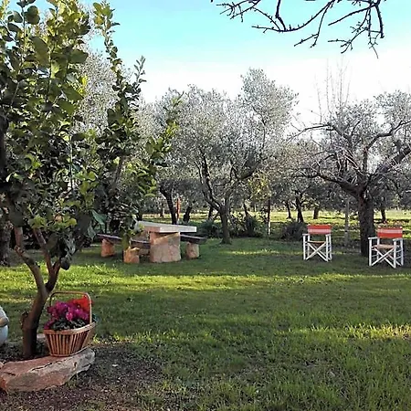 Dedo Bed & Breakfast Terlizzi