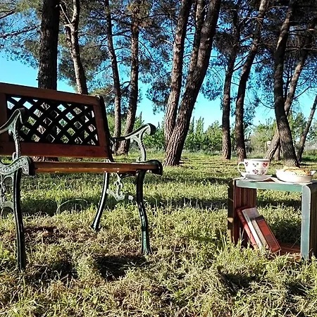 Bed & Breakfast Dedo Terlizzi