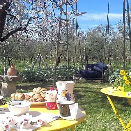 Dedo Bed & Breakfast Terlizzi