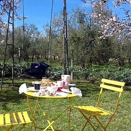 Bed & Breakfast Dedo
