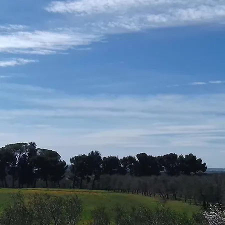Dedo Oda ve Kahvaltı Terlizzi