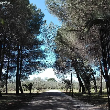 Bed and breakfast Dedo