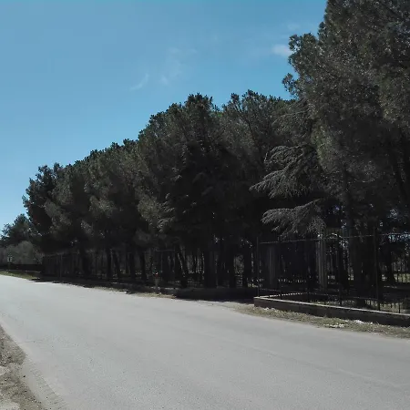 Dedo فندق مبيت وإفطار 3*