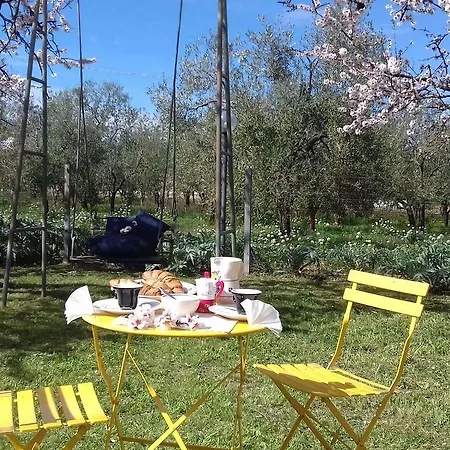 Bed and breakfast Dedo 3*