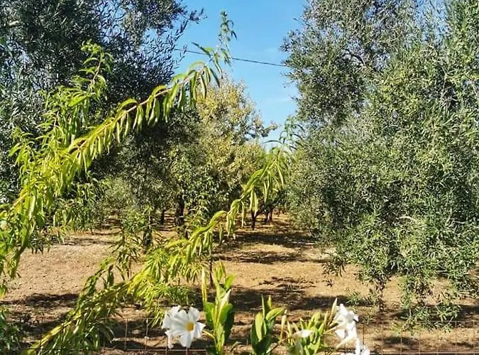 Dedo Bed & Breakfast 3*