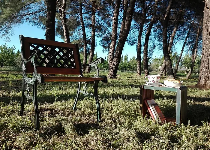 Dedo Bed & Breakfast